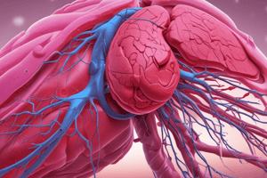 Liver Acinus Oxygenation Quiz