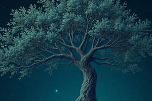 Decision Tree Algorithms
