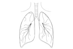 Respiratory Physiology: Alveolar Pressure (Fisiologia 40)