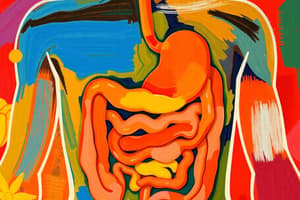 The Digestive System Quiz