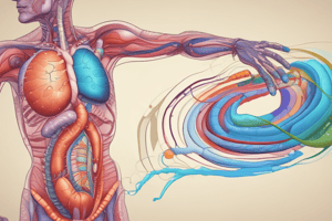 MBBS Year 1 Gastrointestinal Lectures