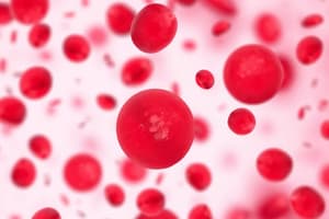 Anemia Types Overview