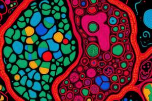 Endoplasmic Reticulum Overview