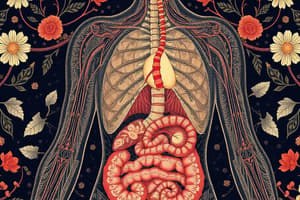 Introduction to Human Organs and Systems