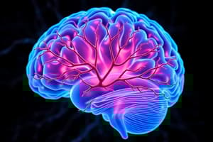 Biological Psychology: CNS and PNS