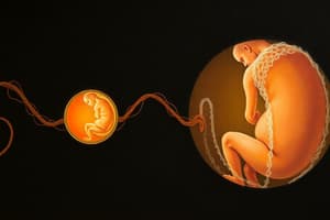 Fertilization and Early Embryo Development