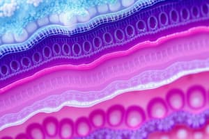 Basics of Epithelial Tissues