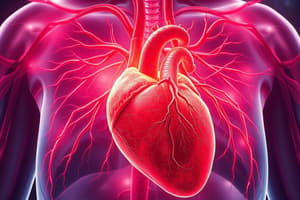 Pulmonary Circulation Overview