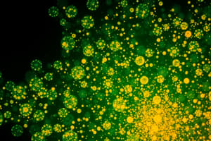 Immunofluorescence Technique Overview