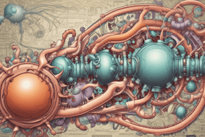 Protein Digestion Process Overview