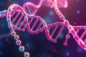 Nucleic Acids Overview