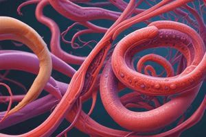 Parasitology: Trematodes and Nematodes Overview