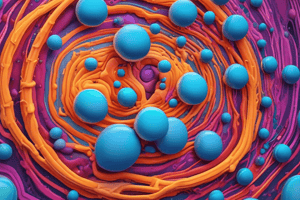 Plasma Membrane 2