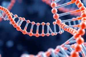 Molecular Biology Quiz: RNA and DNA Processes