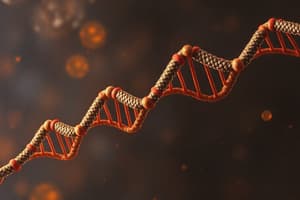 Nucleotides and Nucleic Acids Overview