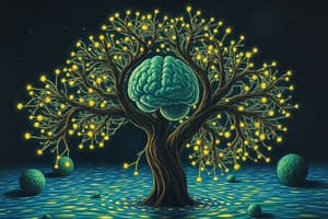 Cultural Learning & Brain Plasticity