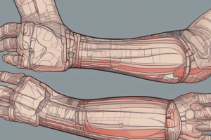 Common Elbow and Forearm Strains and Sprains Quiz