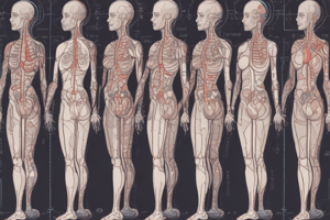 Endocrine Glands and Hormones