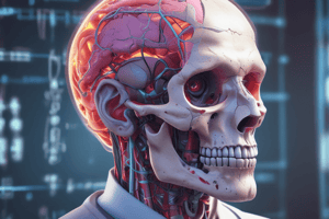 Radiology CT - Cortical Destruction - Sequestrum Treatment Quiz