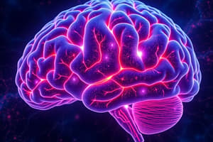 Cerebellum and Brainstem Functions