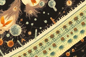 Plasma Membrane Structure and Function