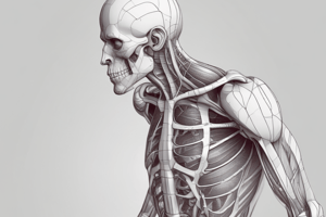 Epaxial Structures