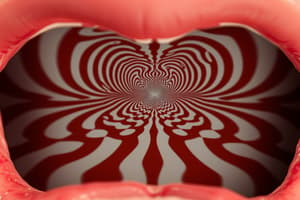 Taste Perception and Visual Illusions Study