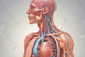 Gr 9 NATURAL SCIENCES: CH 1.4 SUM Circulation and respiration