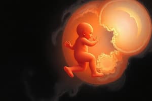 Embryonic and fetal development