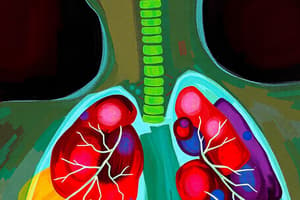 Respiratory Disorders Overview