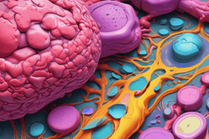 Nomenclature in Pathology and Medicine