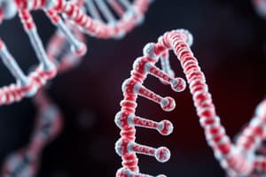 Molecular Biology: Nucleic Acids Quiz