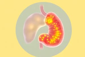 SysPath: GI Path 3 (Cirrhosis, Jaundice, Hepatitis)