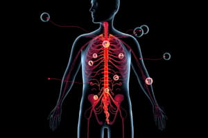 Endocrine System Overview