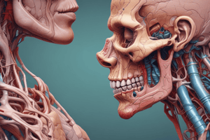 Physiology of Salivary Glands