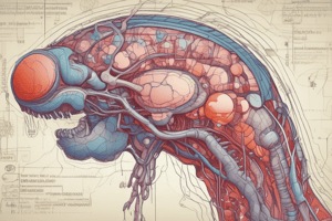 HPG Axis and Hormone Regulation