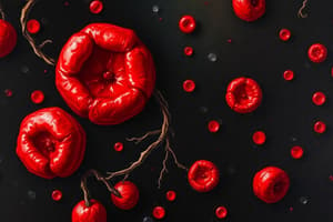 Blood Components and Disorders Quiz