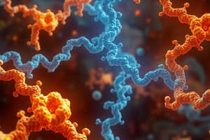 Protein Functions: structural, enzymatic, transport