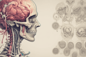 Excretion in Various Organs: Roles and Mechanisms