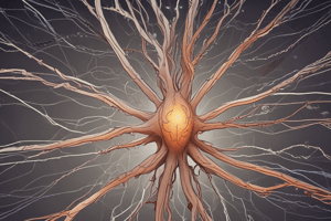 Brachial and Lumbar Plexus Evaluation