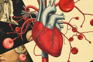 Circulatory System I