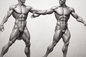 Thenar Muscles Anatomy Quiz