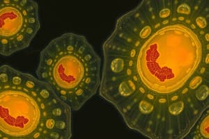 Eukaryotic Cells Overview