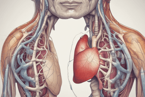 Biology Lecture 14: The Respiratory System