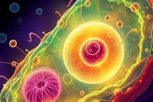 Prokaryotic vs. Eukaryotic Cells