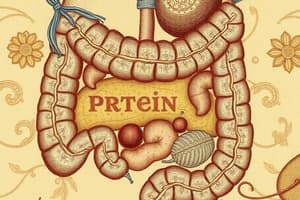 Digestione e Assorbimento Intestinale