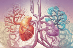 Acid-Base Balance and Lung Function