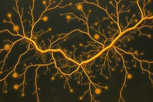 Mecanismos Neuromusculares Periféricos y Centrales