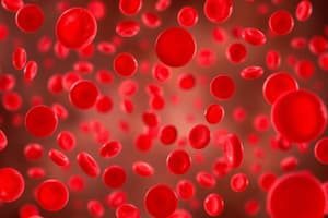 Anemia e le sue Classificazioni