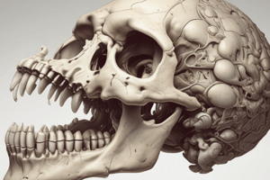 Types of Ossification Processes